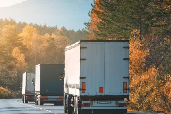 Siirt Nevşehir Nakliyat